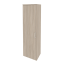 Дуб Аттик