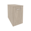 Дуб Аттик