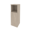 Дуб Аттик