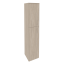 Дуб Аттик
