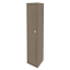 Вяз